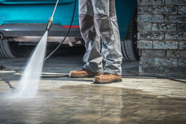 Best Graffiti Removal  in Bloomington, TX