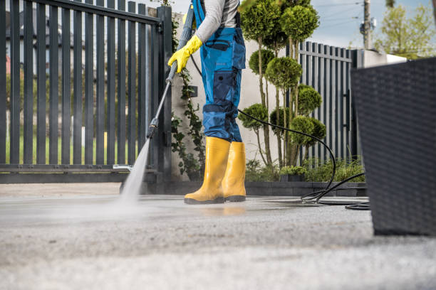 Best Soft Washing  in Bloomington, TX